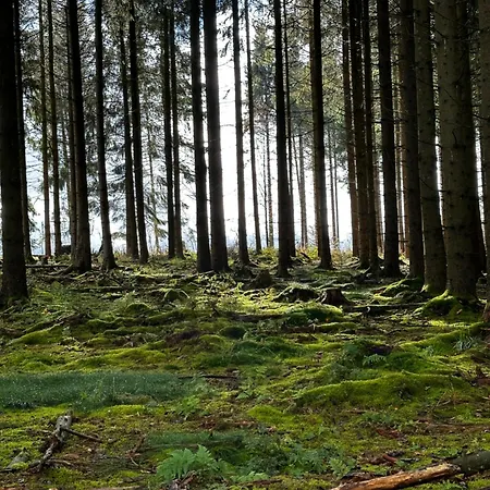 Treffpunkt Gruppenhaus Fuer 22 Personen Mit Grossem Aufenthaltsraum Und Kueche Feriehus *