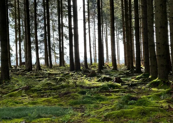 Treffpunkt Сasa de vacaciones *